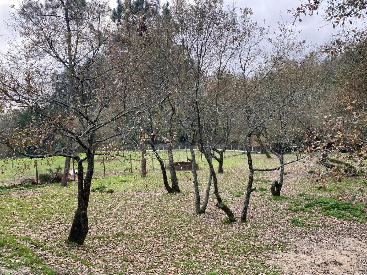 Вілла Quinas Playground Souto da Carpalhosa Екстер'єр фото